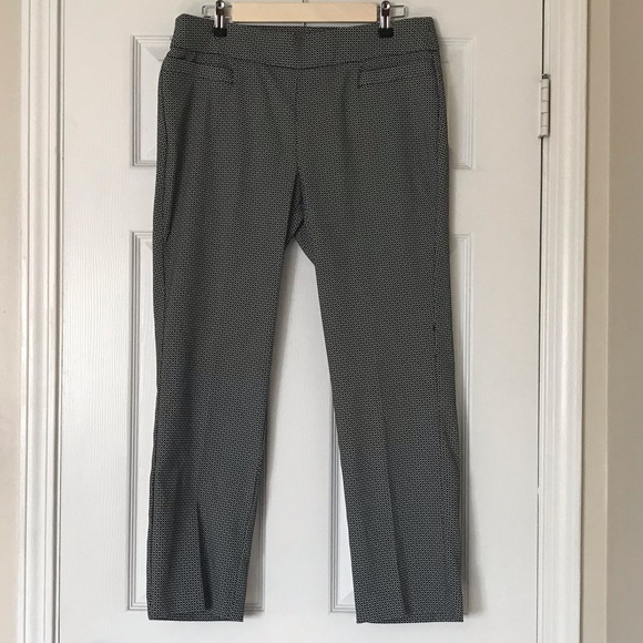 briggs new york petite pants